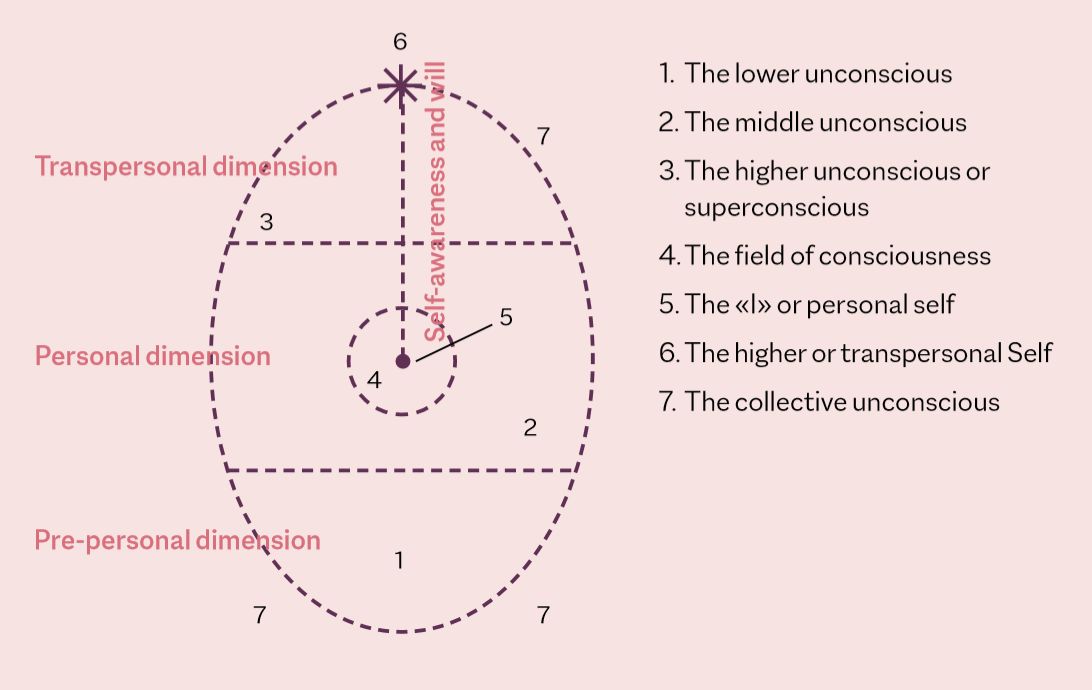 Egg shaped diagram divided into three sections - Transpersonal dimension, Personal dimension and Pre-personal dimension, crossed by Self-awareness and will. The following are indicated at various positions on the diagram: 1. The lower unconscious; 2. The middle unconscious; 3. The higher unconscious or superconscious; 4. The field of consciousness; 5. The «I» or personal self; 6. The higher or transpersonal Self; 7. The collective unconscious