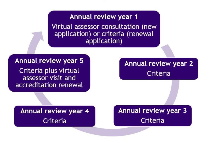 Diagram showing annual rolling review process