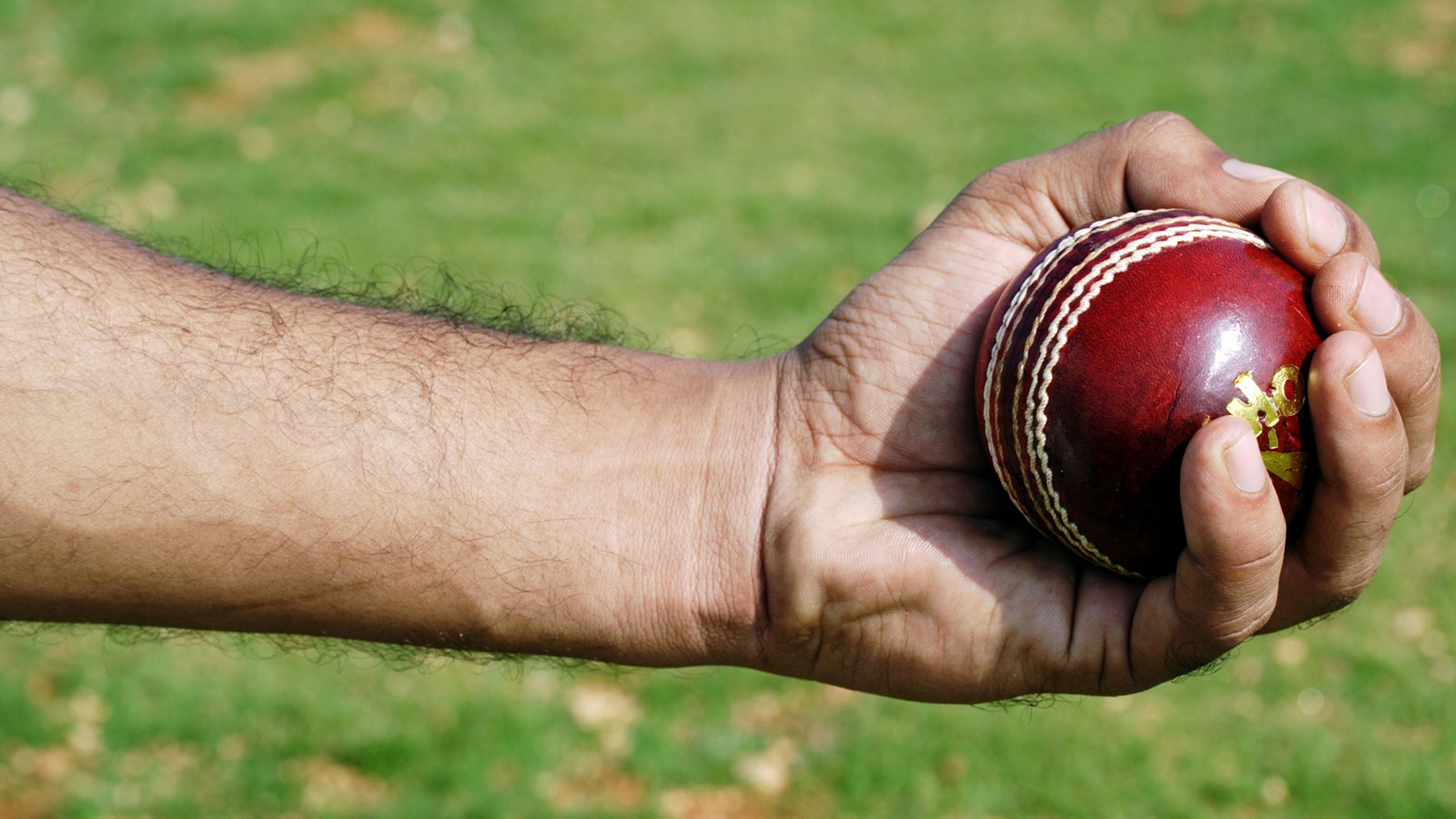 man-holding-cricket-ball-blog-banner
