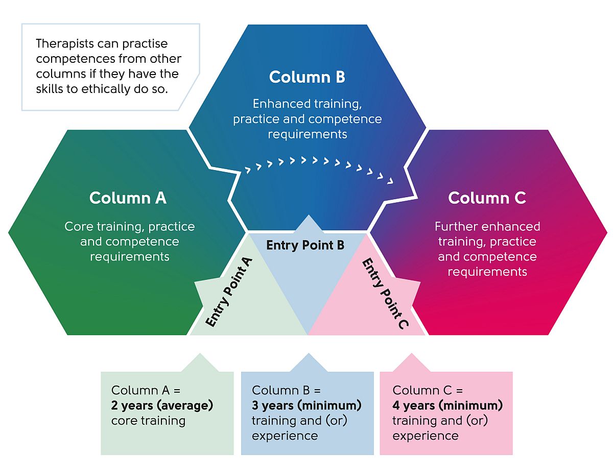 Visual representation of the framework including competences, training and practice standards