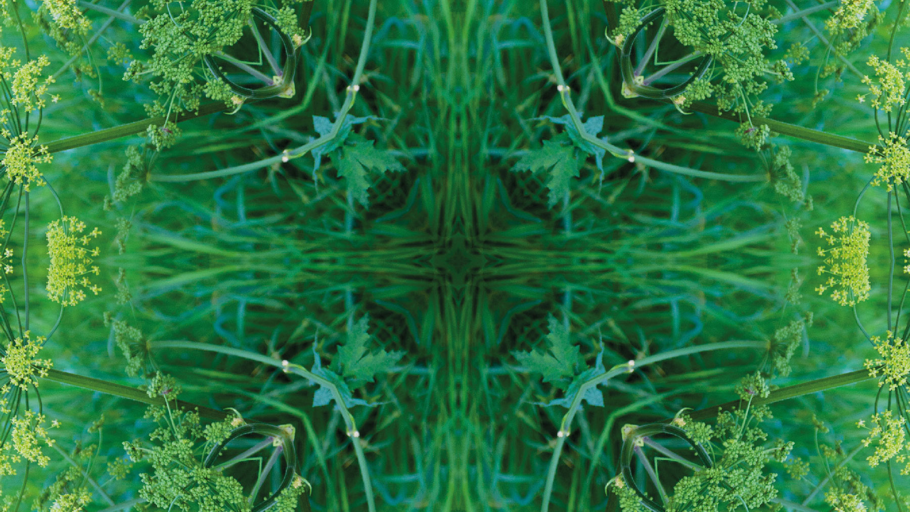 Thresholds, July 2022