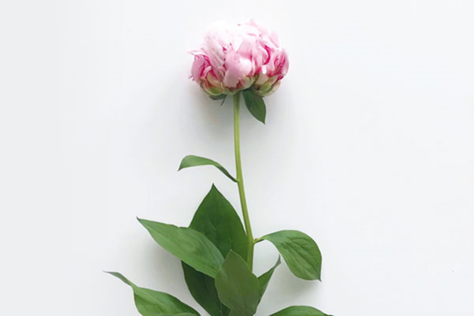 Resource Image