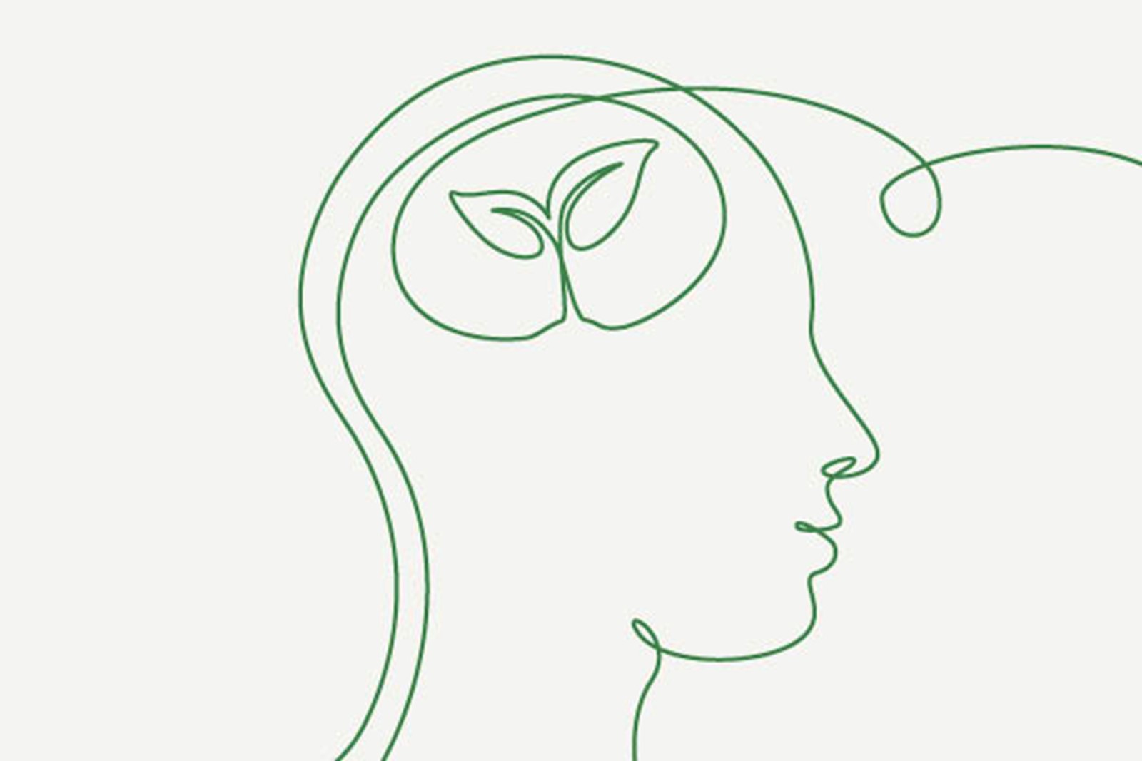 Resource Image
