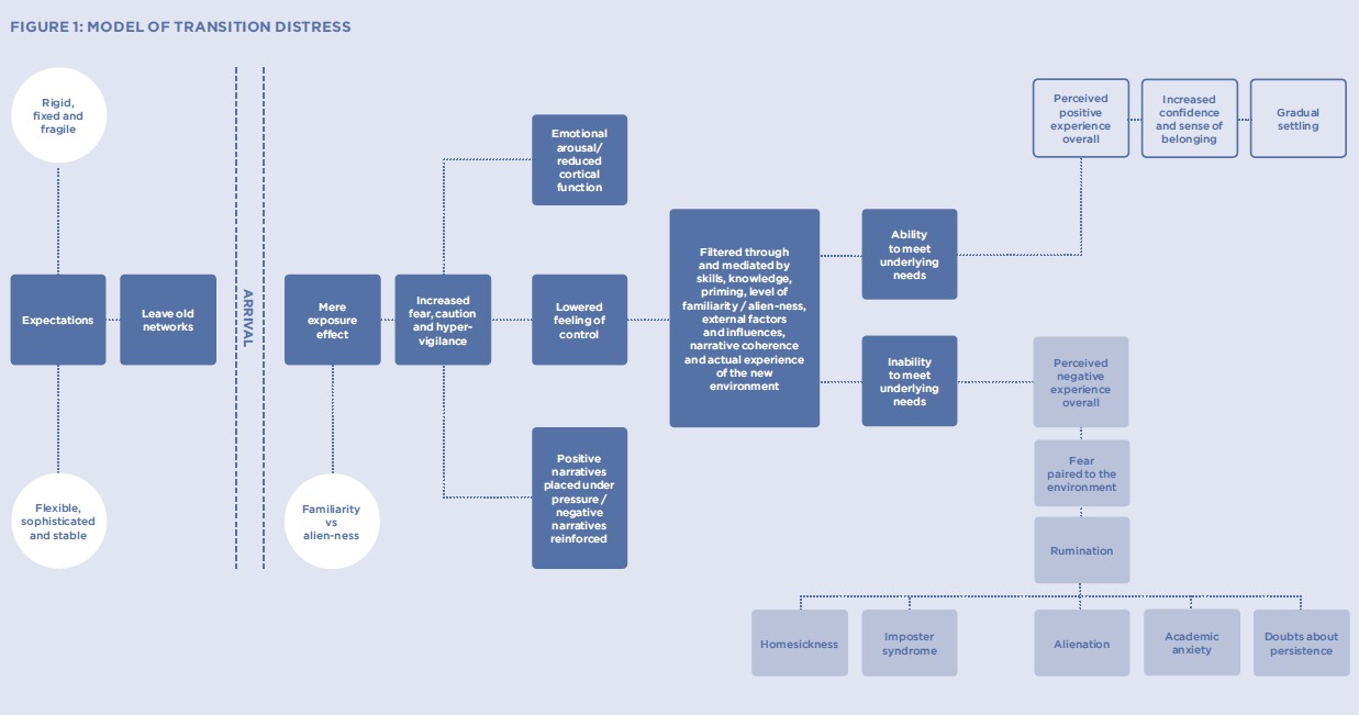 Model of transition distress