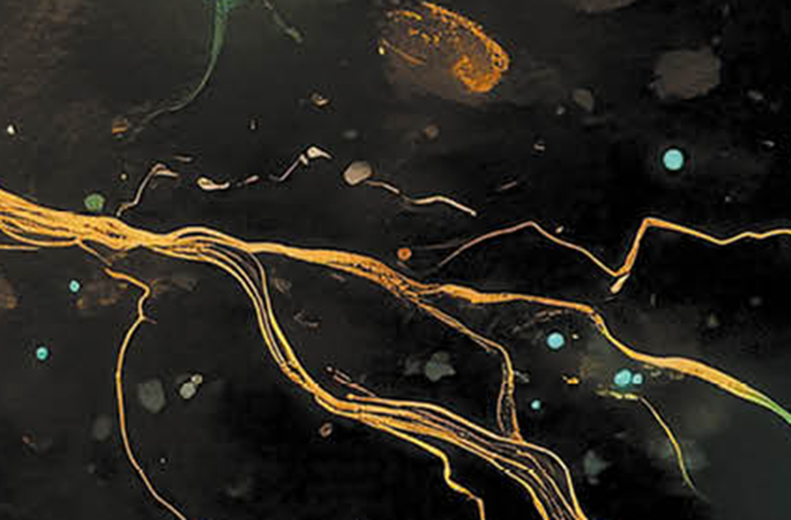 Resource Image
