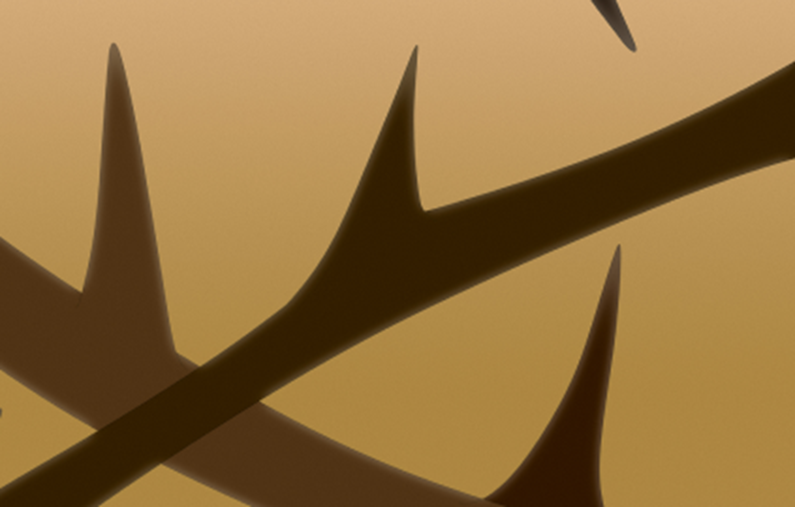 Resource Image