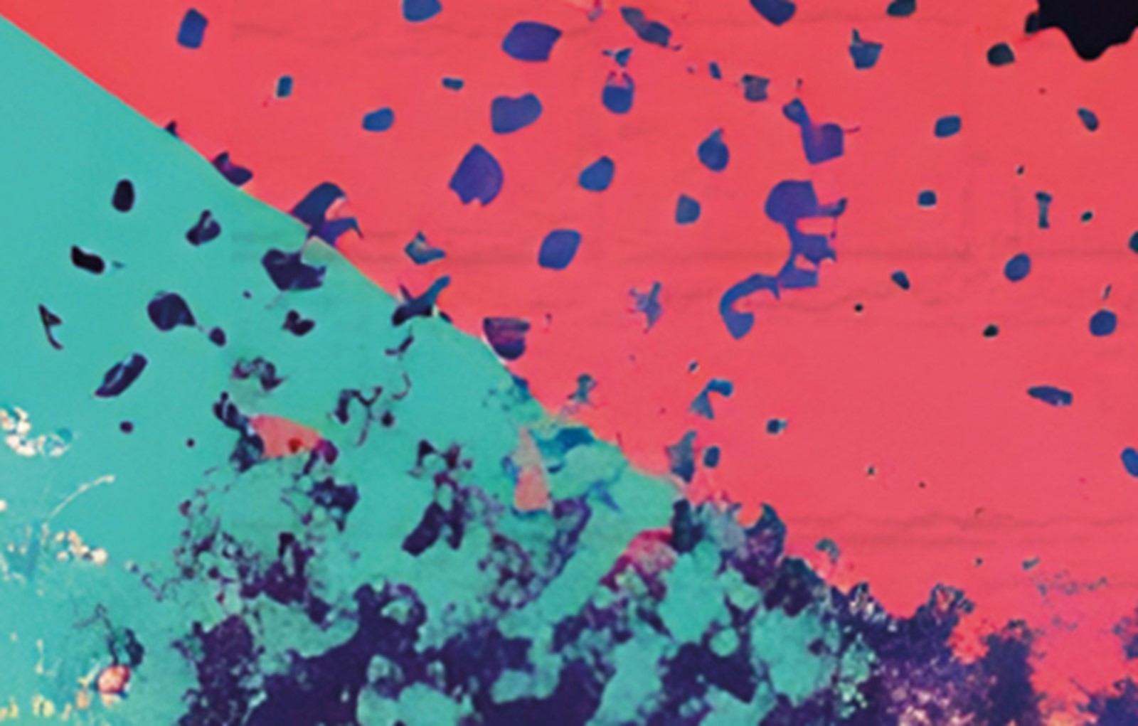 Resource Image