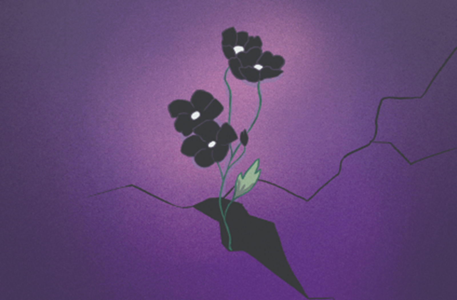 Resource Image