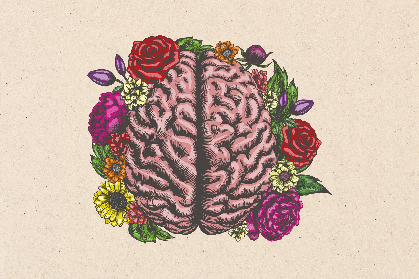 Resource Image