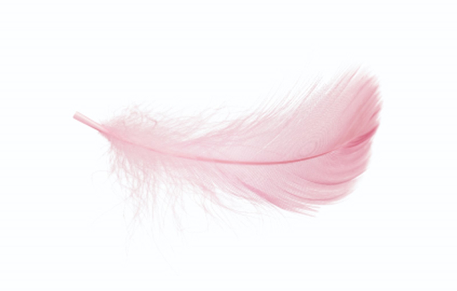 Resource Image