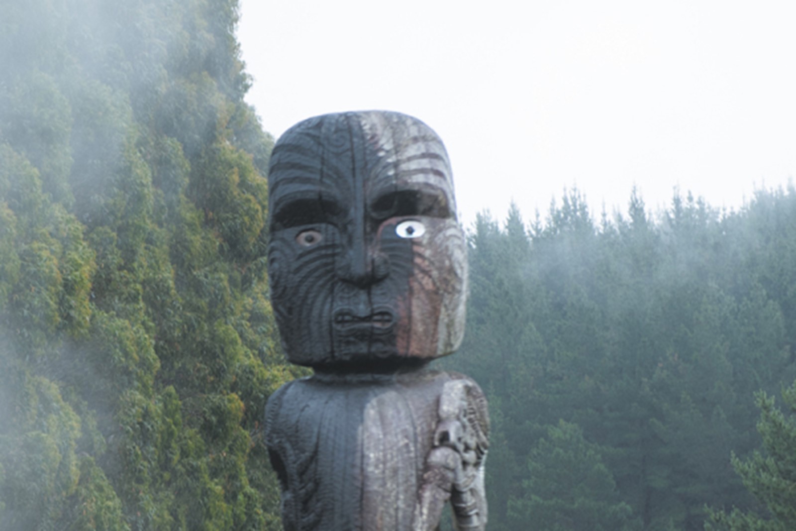 Resource Image