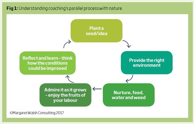 Figure 1: Understanding coaching’s parallel process with nature - Plant a seed or idea - Provide the right environment - Nurture, feed, water and weed, Admire it as it grows, enjoy the fruits of your labour - Reflect and learn - think how the conditions could be improved