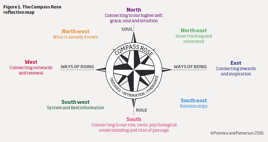 Figure 1 The Compass Rose reflection map