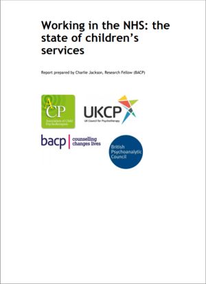Cover of Working in the NHS report