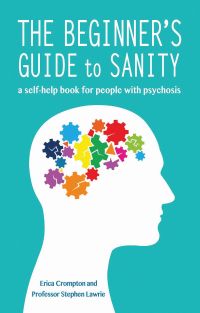Cover of The beginner's guide to sanity