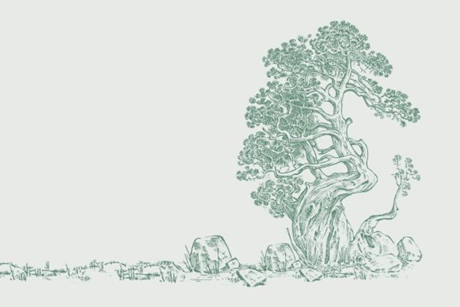 Resource Image